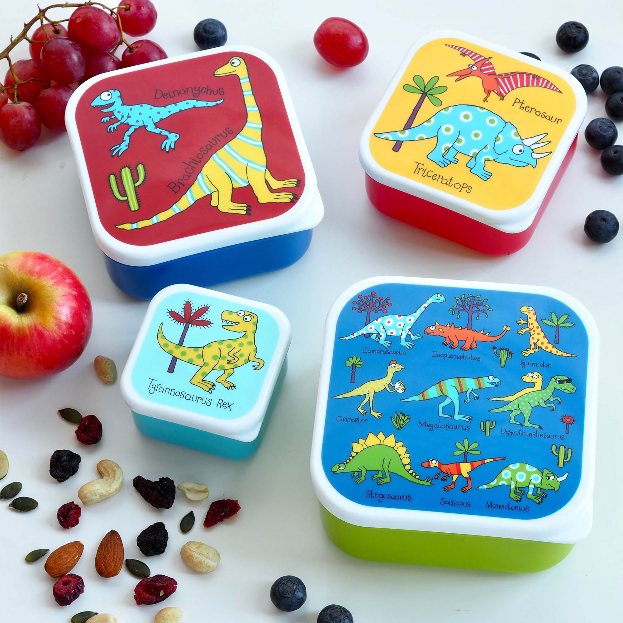 Set of 4 Dinosaurs Snack Boxes for Kids