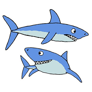 OCEAN